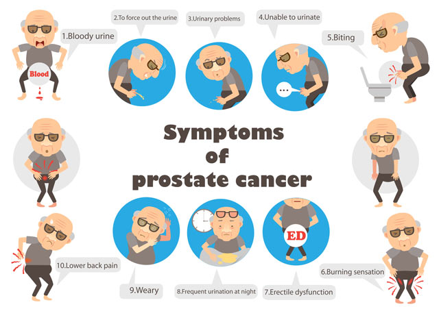 Help Prevent or Slow Prostate Cancer | VitaminK.com